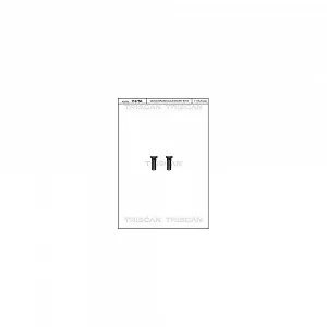 Комплект болтов тормозного диска TRISCAN 8105 116016 для FORD SEAT VW задний мост - Фото 1