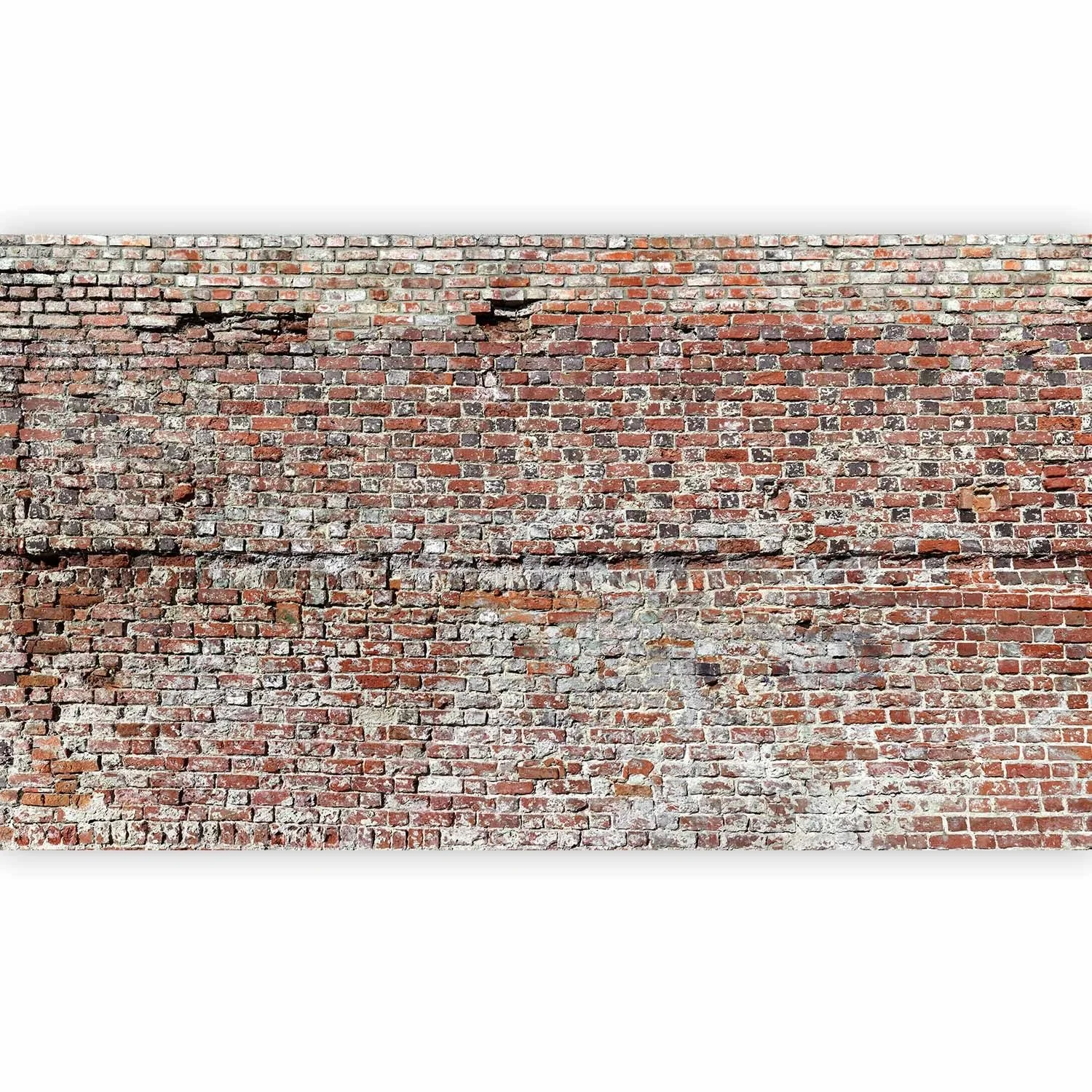 Фотошпалери Murando f-A-0457-a-a XXL Texture Brick Wall Concrete 500 x 280 см, фото №1