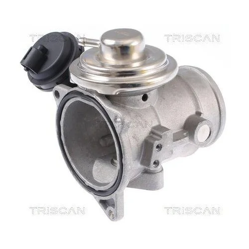 Клапан EGR TRISCAN 8813 29309 для VW, фото №3