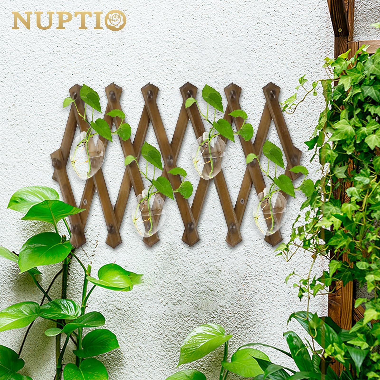 Настінні скляні кашпо, фото №2 Настінні скляні кашпо, фото №2