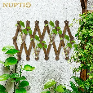 Настінні скляні кашпо synthetic.ua - Фото 1