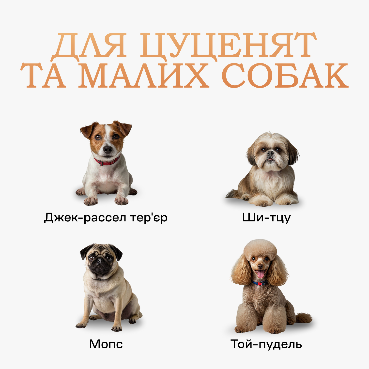 Силіконовий туалет-лоток для собак під пелюшку, 60 х 60, Сірий, фото №2 Силіконовий туалет-лоток для собак під пелюшку, 60 х 60, Сірий, фото №2
