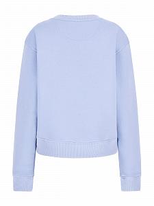 Женский свитшот GUESS Roses Triangle Sweater Black, G76s, S synthetic.ua - Фото 1