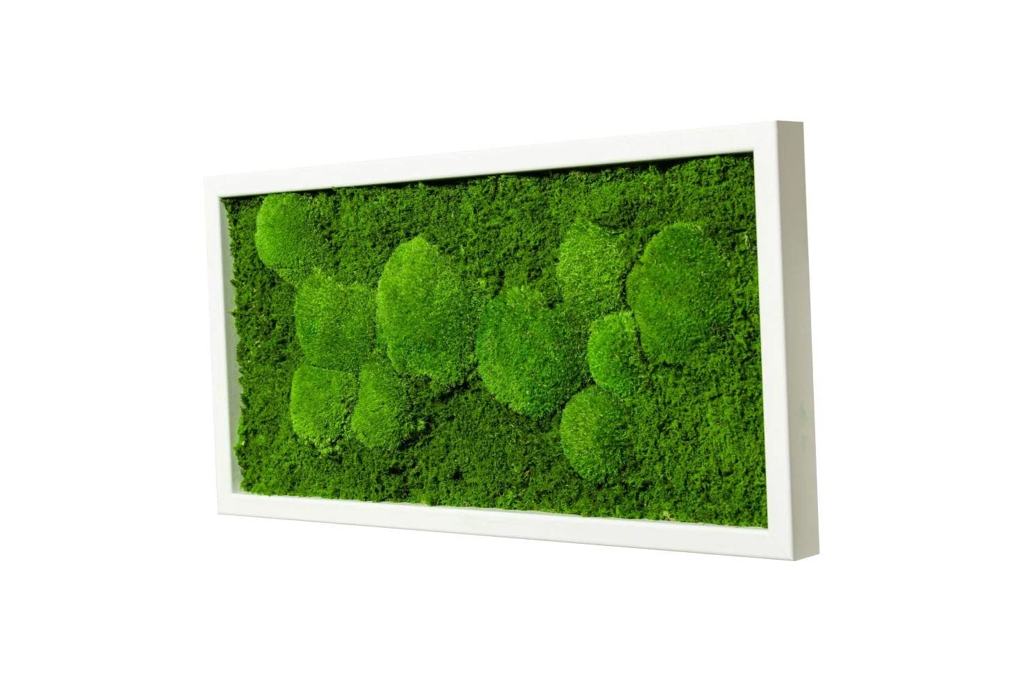Картина на стіну Moss Ball Moss Sheet Рослинна 60 x 30 см Біла, фото №2