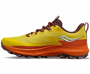 Кроссовки Saucony Peregrine 13 GTX - Фото 1