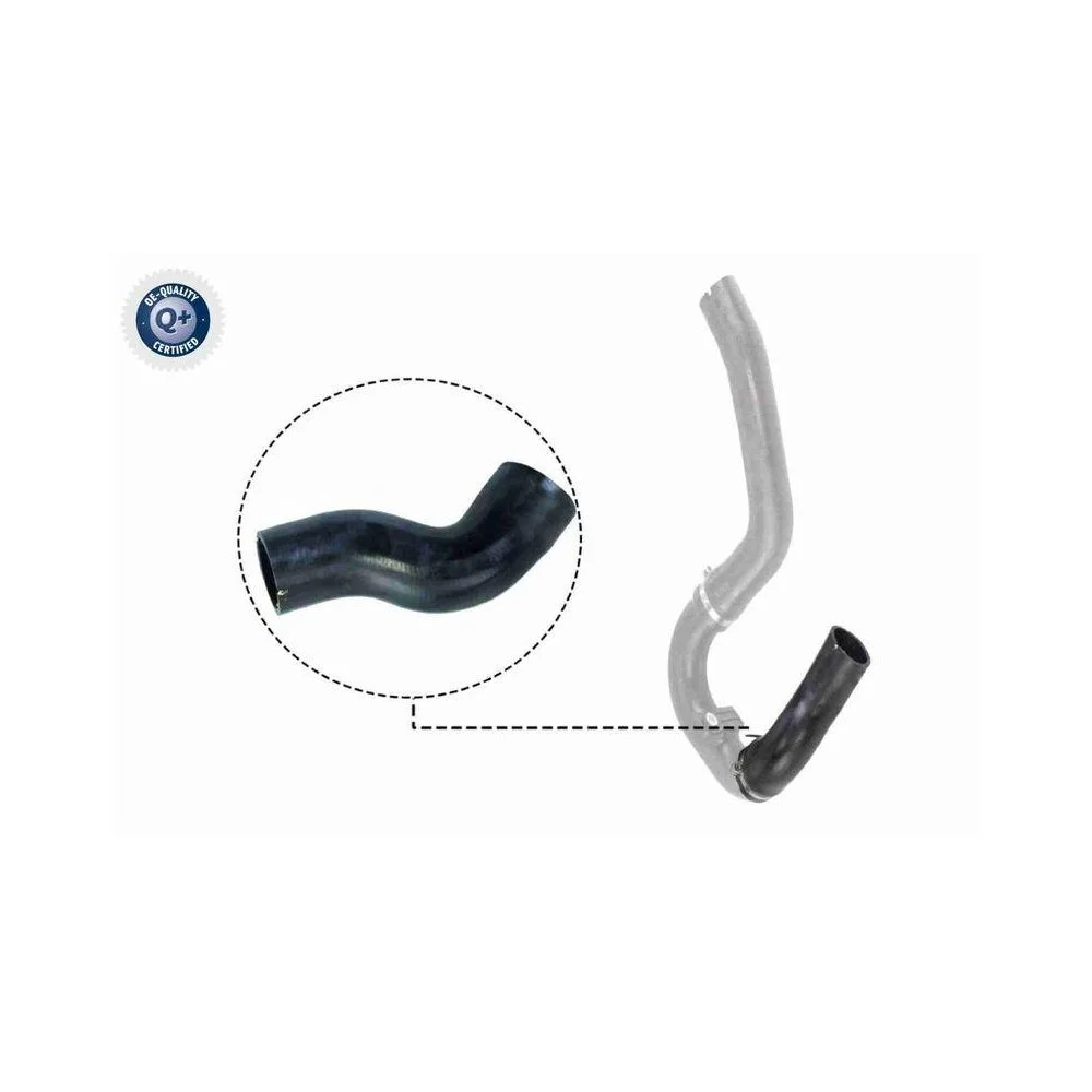Шланг интеркулера VAICO V24-0711 Q+ FIAT, фото №1