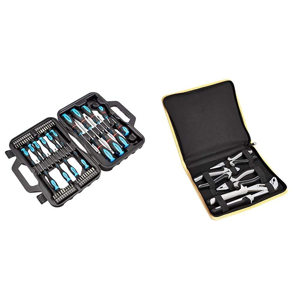 Набір викруток Amazon Basics 58 шт Precision Slotted, Phillips, Torx та набір плоскогубців 4 шт, фото №1
