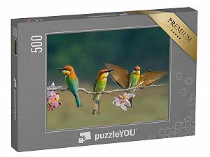Купить Пазл puzzleYOU Birds Puzzle Collection Три каштановоголовые щурки на ветке с розовыми цветами 500 деталей - Фото 1 Пазл puzzleYOU Birds Puzzle Collection Три каштановоголовые щурки на ветке с розовыми цветами 500 деталей - Фото 1