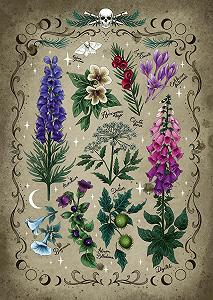 Пазл Ravensburger 12000781 Poisonous Plants 1000 елементів - Фото 1