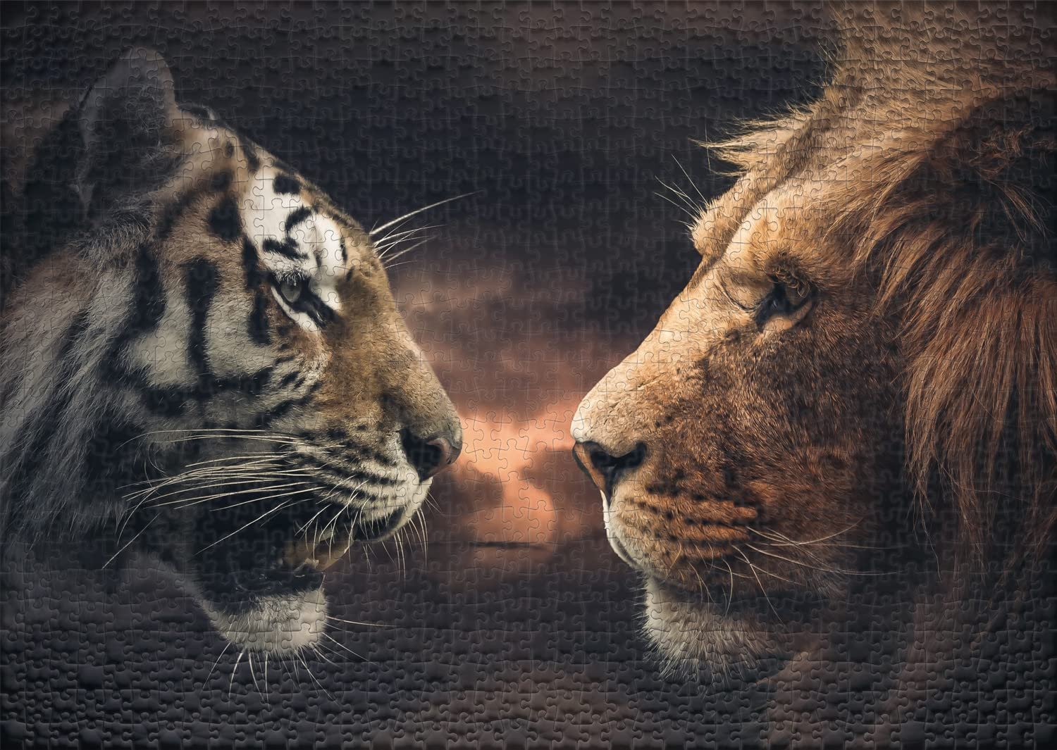 Пазл Ulmer Puzzleschmiede Art & Animals Rumble in The Jungle 1000 элементов для взрослых, фото №2