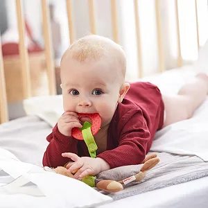 Іграшка HABA Explorer Ведмідь М'яка для Немовлят з Гризунком synthetic.ua - Фото 1