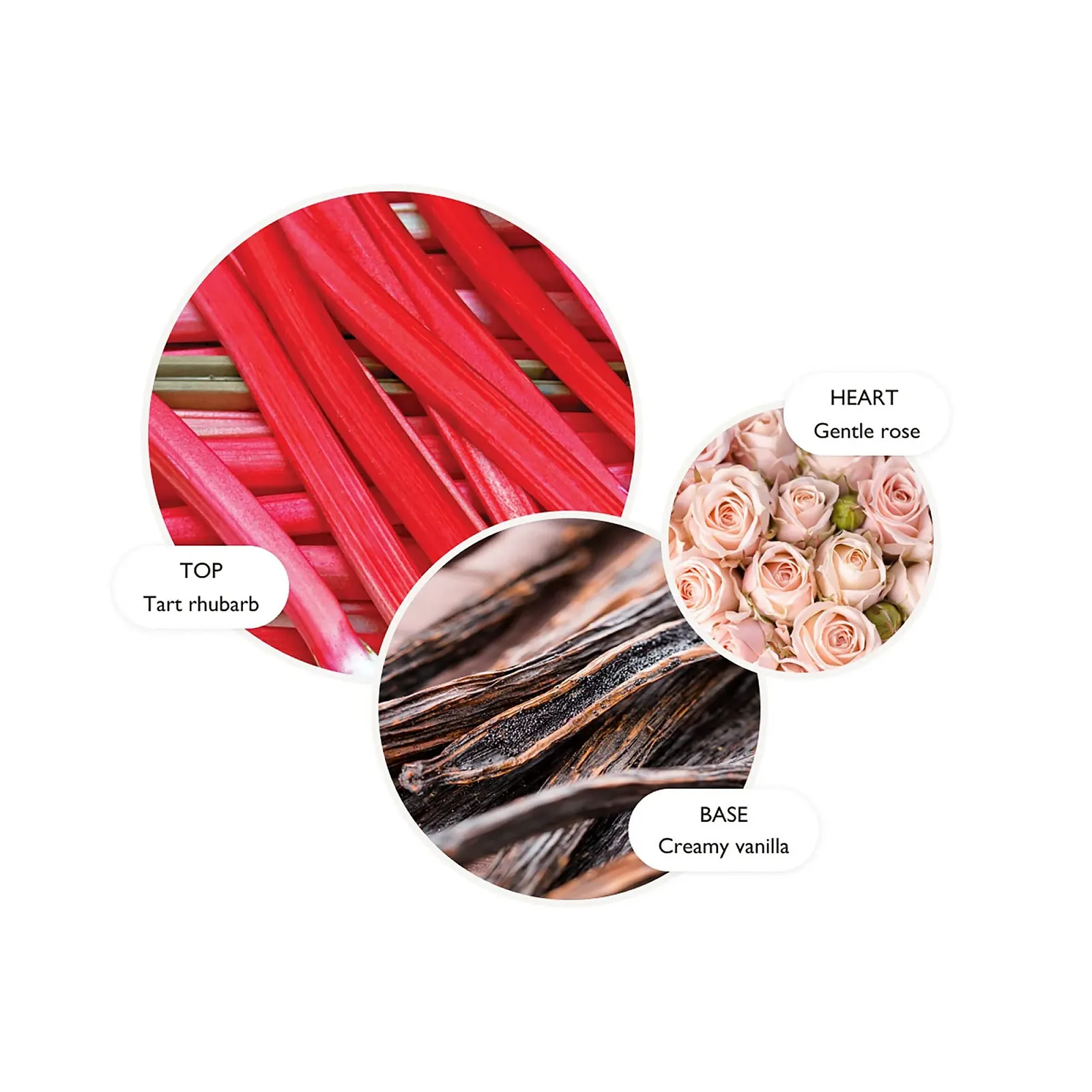 Крем для рук Molton Brown Delicious Rhubarb and Rose 40 мл, фото №2 Крем для рук Molton Brown Delicious Rhubarb and Rose 40 мл, фото №2