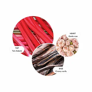 Крем для рук Molton Brown Delicious Rhubarb and Rose 40 мл synthetic.ua - Фото 1