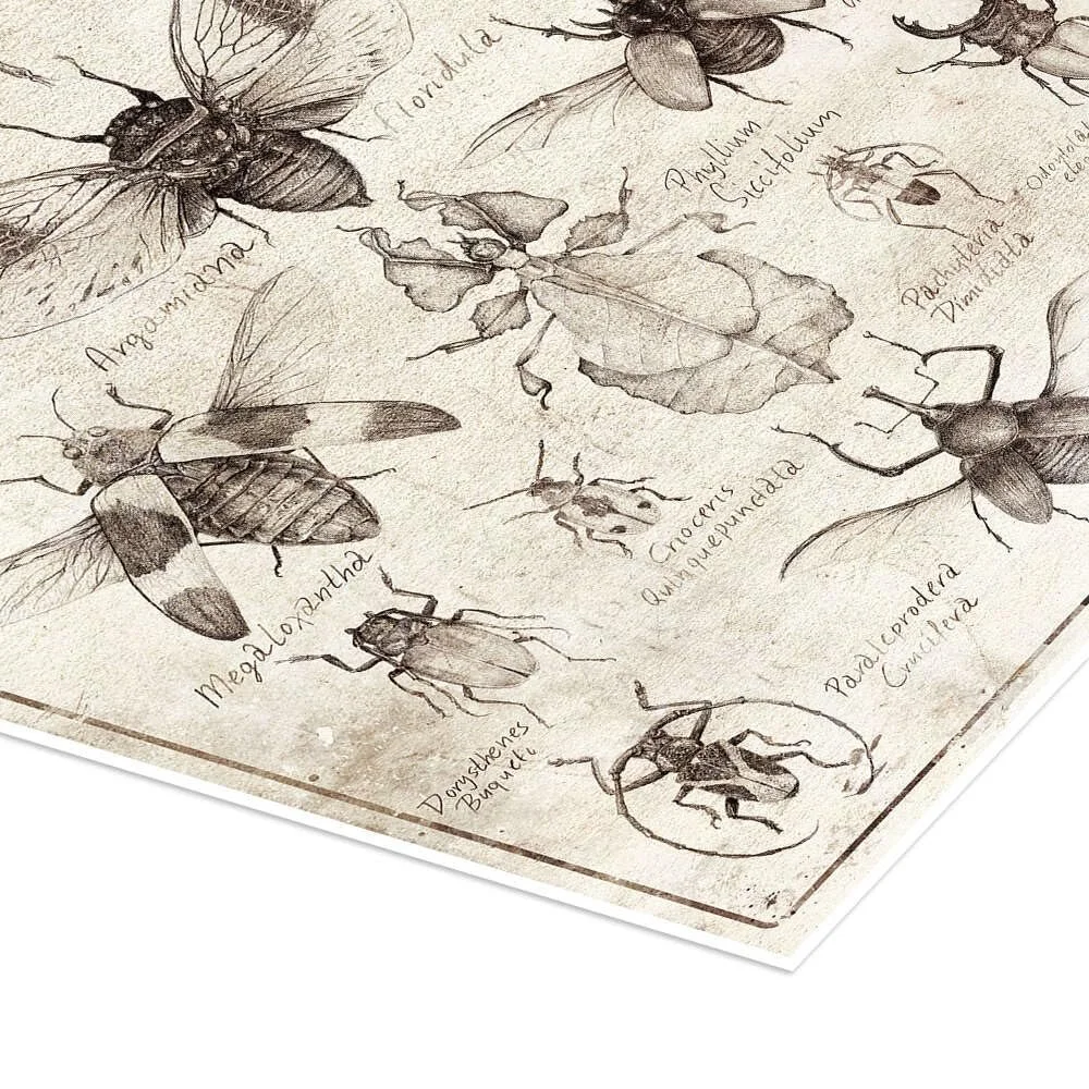 Постер Mike Koubou Insects II 40 x 60 см, фото №3