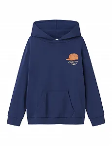 Світшот NAME IT Nkmnopal LS Nreg Wh Bru для хлопчиків - Фото 1