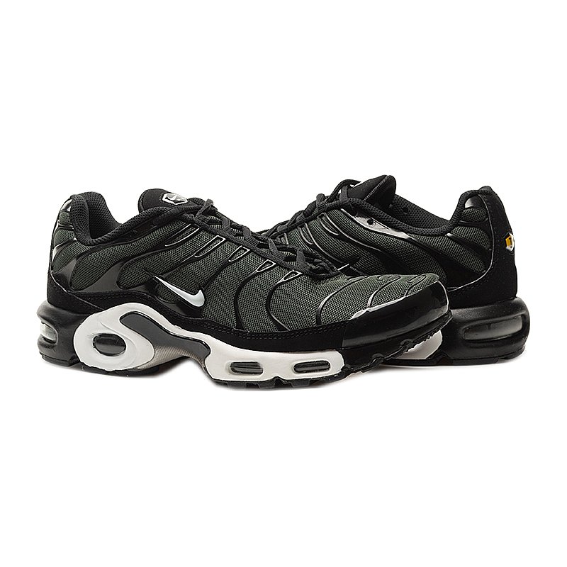 Кросівки Nike AIR MAX PLUS 40, фото №1