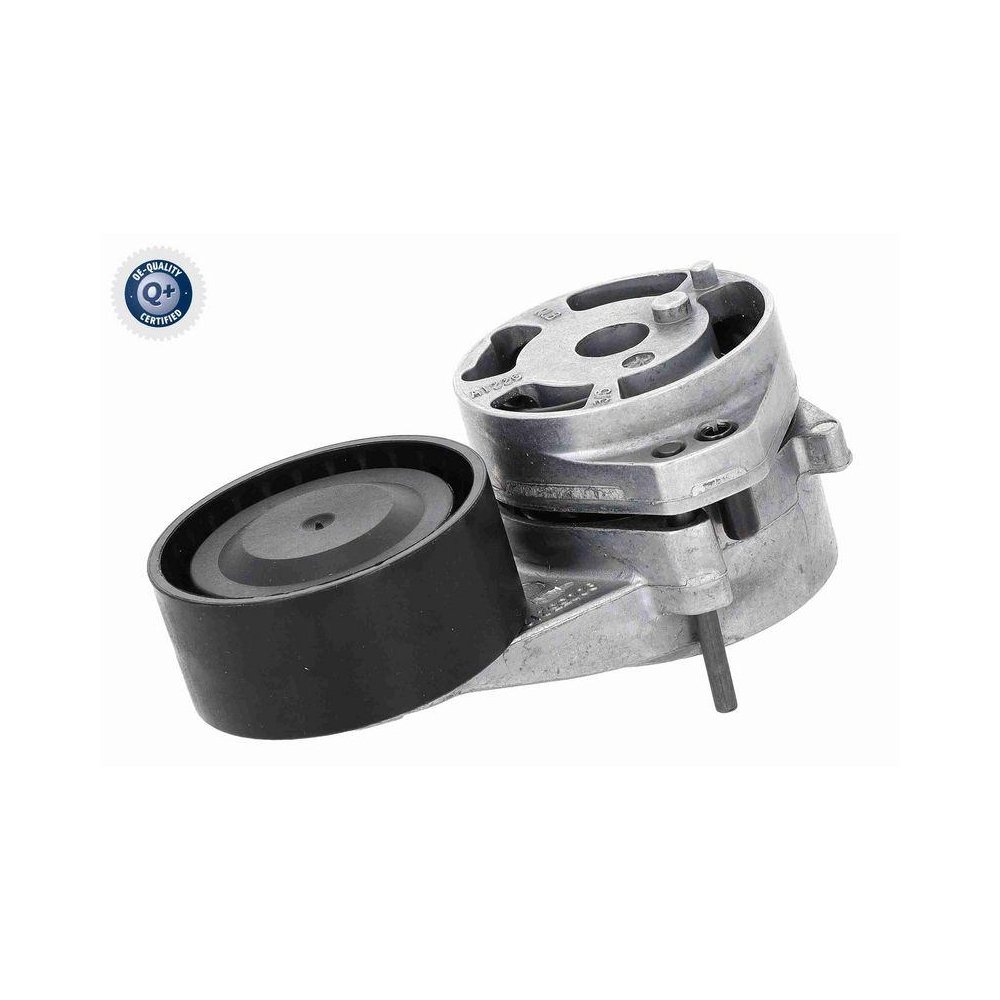 Натяжитель поликлинового ремня VAICO Q+ V10-8919, фото №1