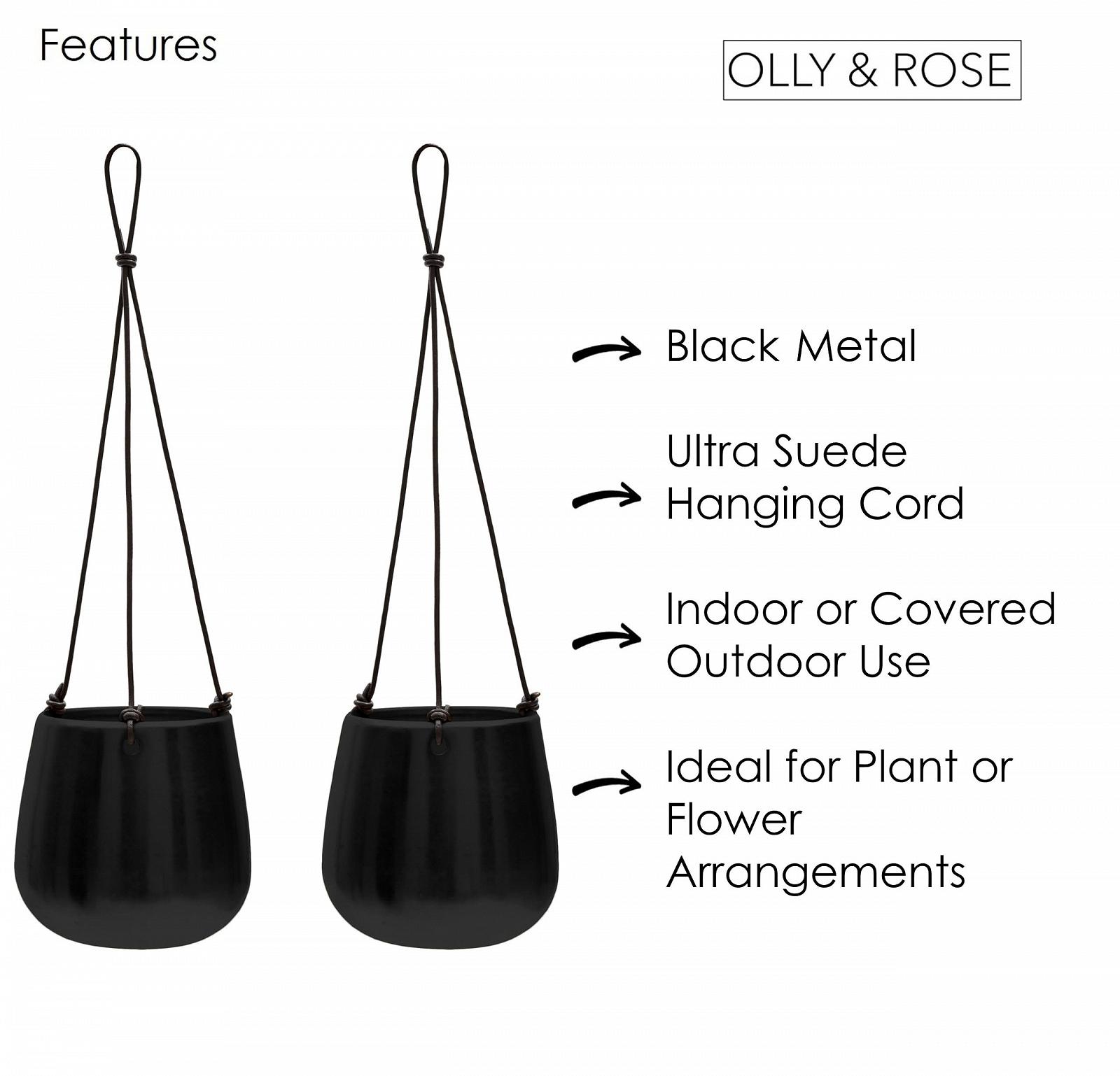 Набір підвісних кашпо Olly & Rose 14 см металеві Матовий чорний 2 шт., фото №2 Набір підвісних кашпо Olly & Rose 14 см металеві Матовий чорний 2 шт., фото №2