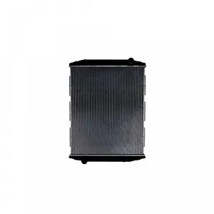 Радиатор охлаждения двигателя HELLA 8MK 366 300-681 для IVECO synthetic.ua - Фото 1