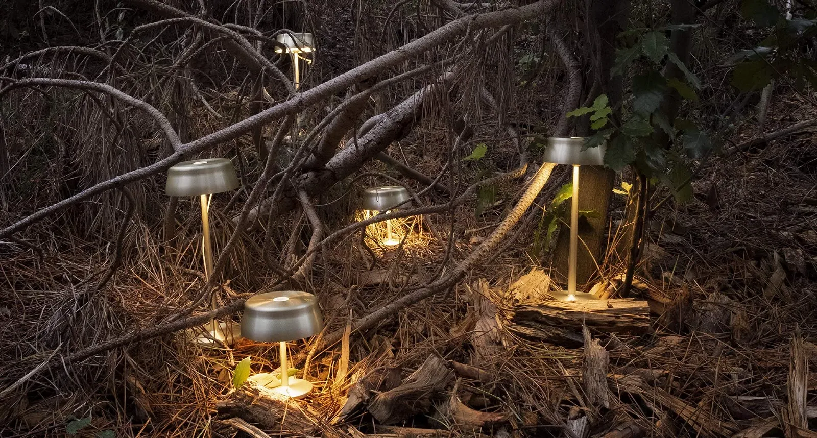 Настільна лампа Zafferano Sister Light Акумуляторна Бездротова 2700-4000 K 32,8 см Анодований алюміній, фото №6