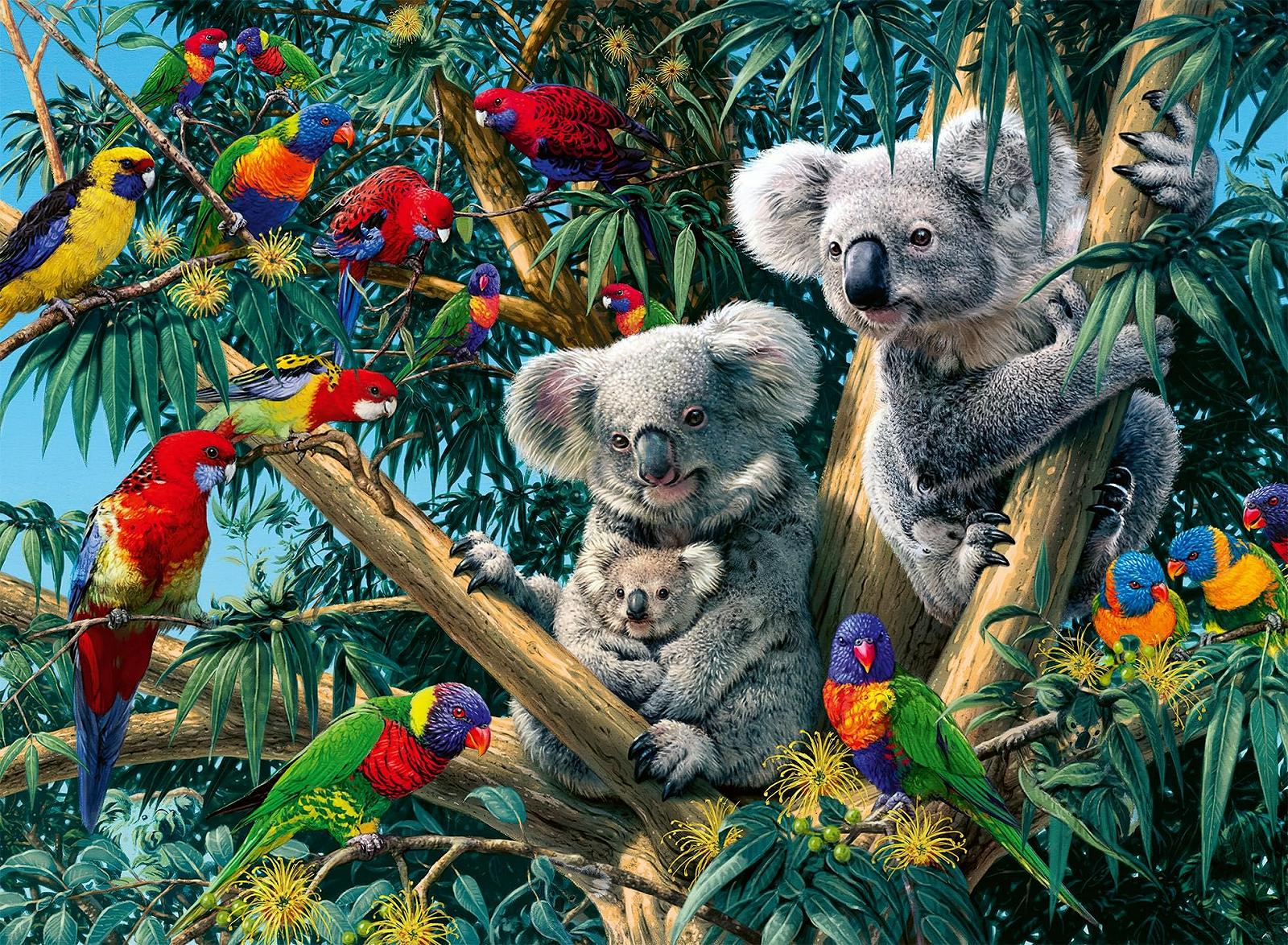 Пазл Ravensburger Koalas in the Tree 12000206 500 деталей от 12 лет, фото №1 Пазл Ravensburger Koalas in the Tree 12000206 500 деталей от 12 лет, фото №1