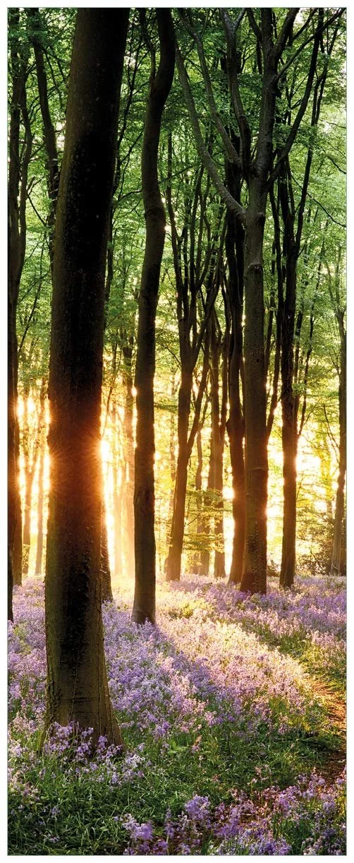 Картина з акрилу Wallario Floating Blue Rabbit Bells in Forest 50 x 125 см, фото №1 Картина з акрилу Wallario Floating Blue Rabbit Bells in Forest 50 x 125 см, фото №1