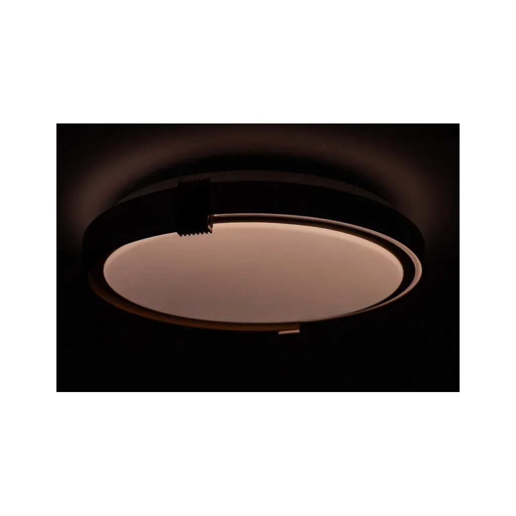 Светильник Vestum COLISEUM матовий 60W 395*60мм 3000К-6500К з ДК біле золото (VS-91065), фото №5