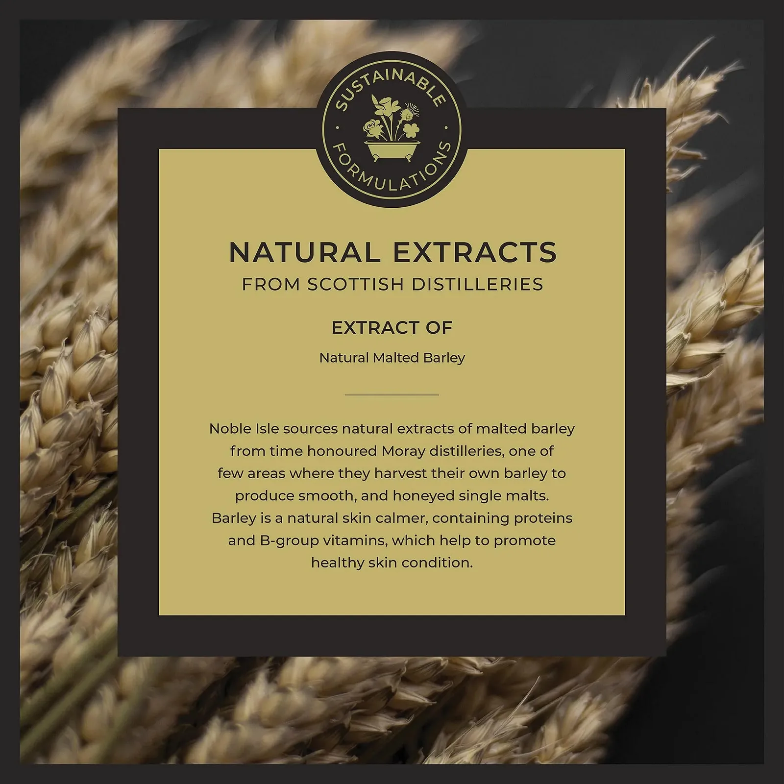 Набір Whisky & Water Noble Isle для догляду за руками для чоловіків та жінок - 2 x 250 мл, фото №5