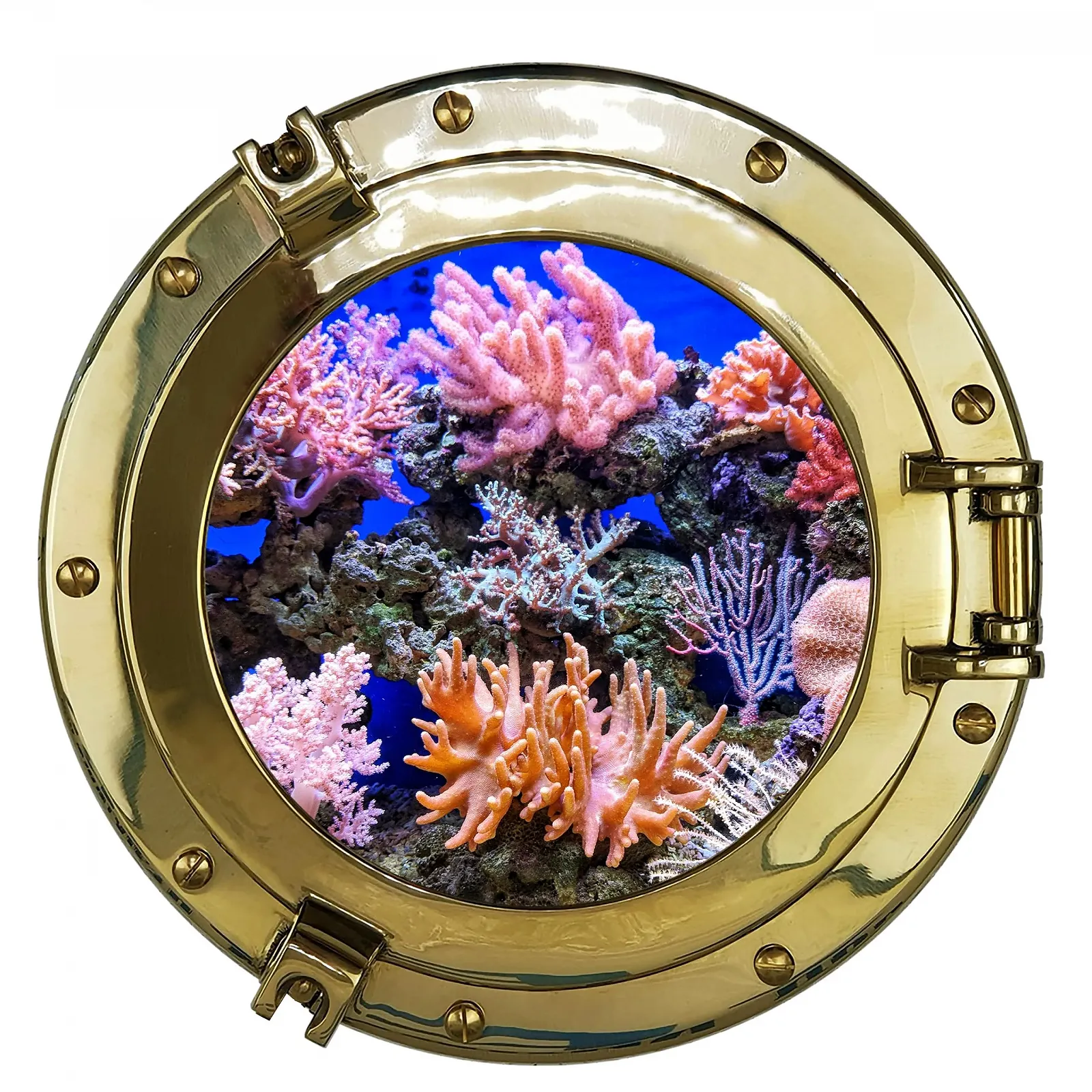 Наклейки Porthole Underwater World 25 см 3D набір з 4 шт., фото №8