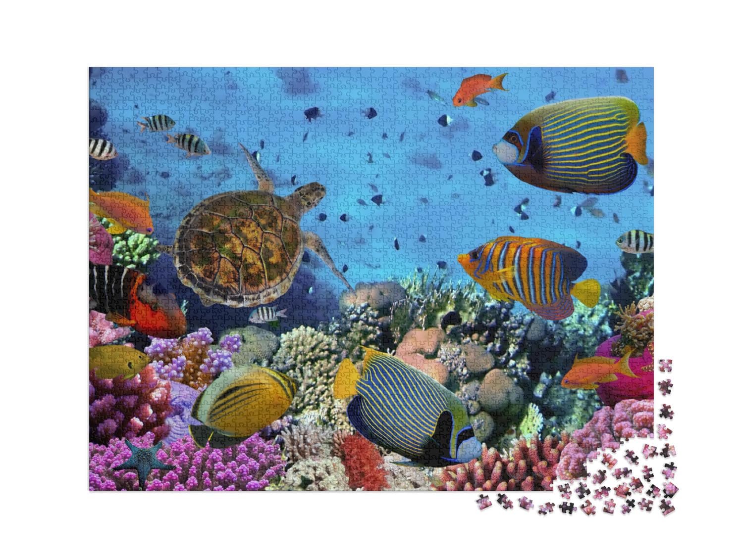 Пазл puzzleYOU Красочный коралловый риф с рыбами и морскими черепахами 2000 элементов, фото №2 Пазл puzzleYOU Красочный коралловый риф с рыбами и морскими черепахами 2000 элементов, фото №2