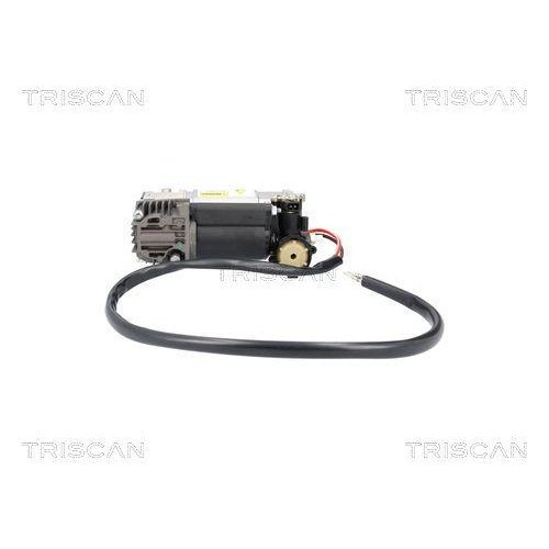 Компресор, пневмосистема TRISCAN 8725 11107 BMW, фото №4