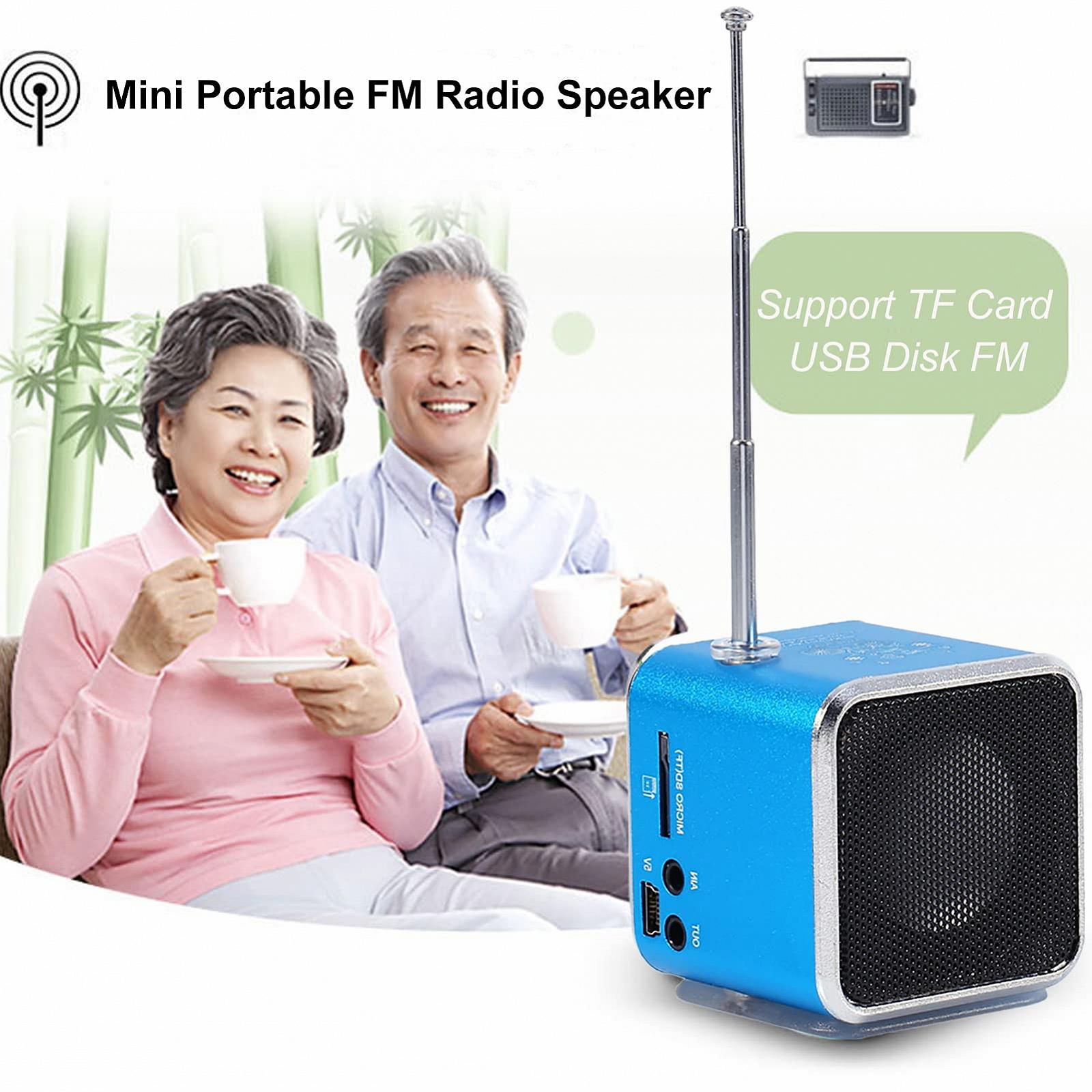 Портативна колонка Lazmin Переносний FM Радіо MP3-програвач, фото №2