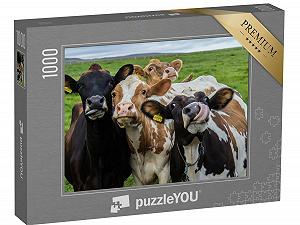 Пазл puzzleYOU Cows & Calves Четыре забавные коровы, смотрящие в камеру 1000 элементов - Фото 1