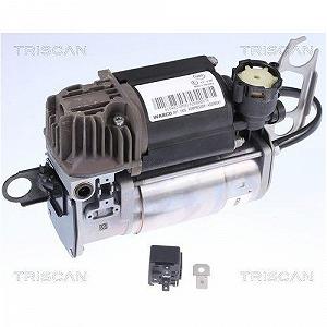 Компрессор пневмосистемы TRISCAN 8725 29102 для AUDI PORSCHE synthetic.ua - Фото 1