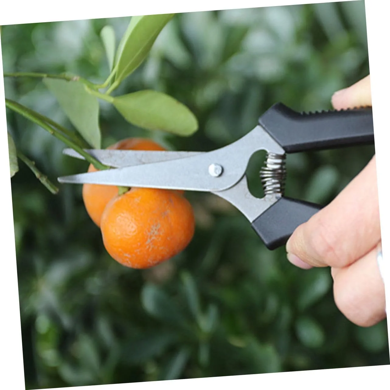 Ножиці  Happyyami PVC-пластик Чорний, фото №5