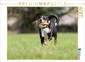 Пазл CALVENDO Full Force Ahead 64 x 48 см - Фото 1