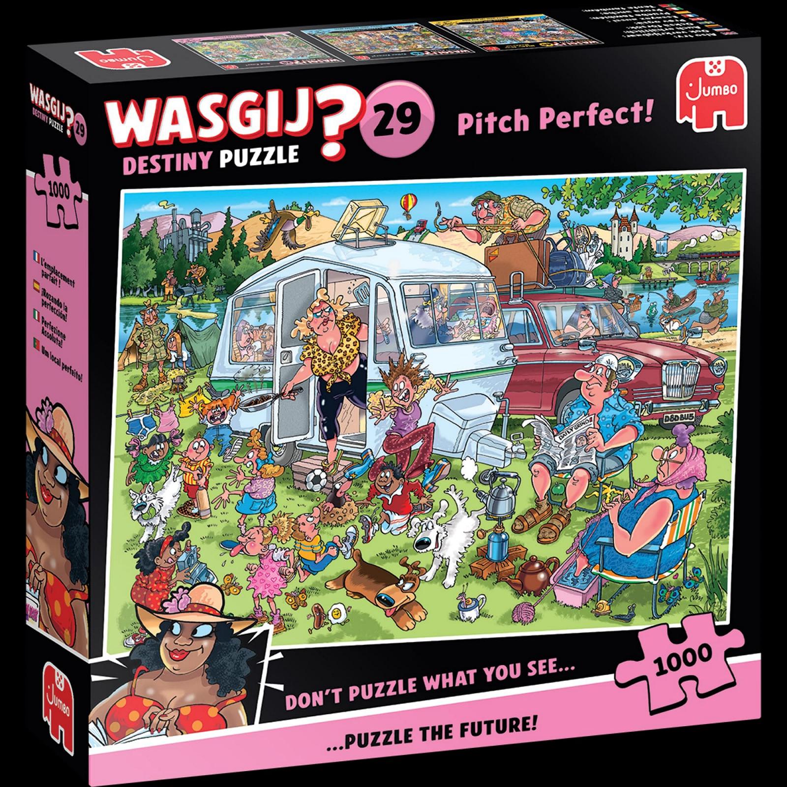 Пазл Wasgij Destiny 29 Perfect Pitch - On the Camping 1000 элементов, фото №7