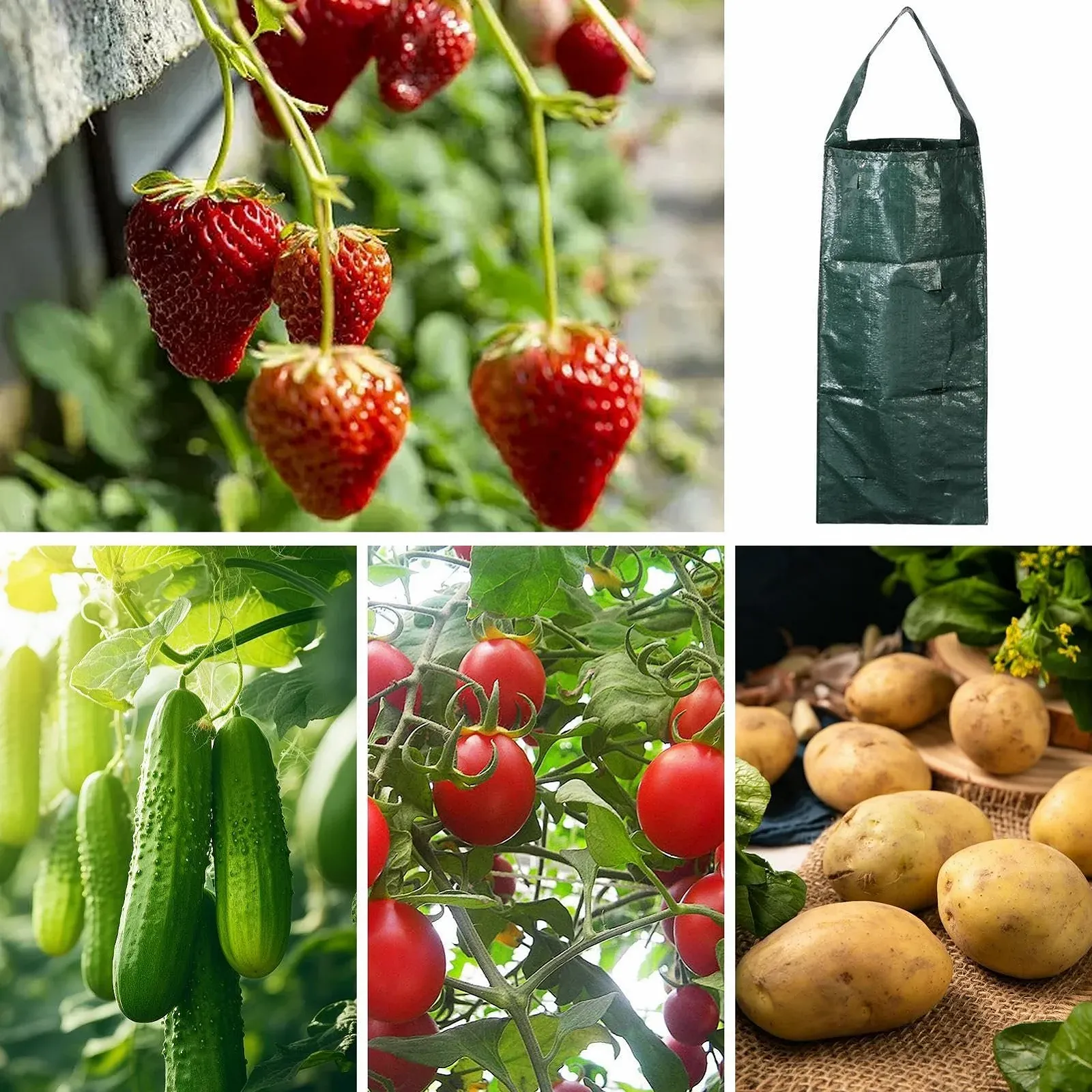 Сумки для вирощування рослин тканинні вертикальні з 8 отворами для полуниці та квітів, фото №4 Сумки для вирощування рослин тканинні вертикальні з 8 отворами для полуниці та квітів, фото №4