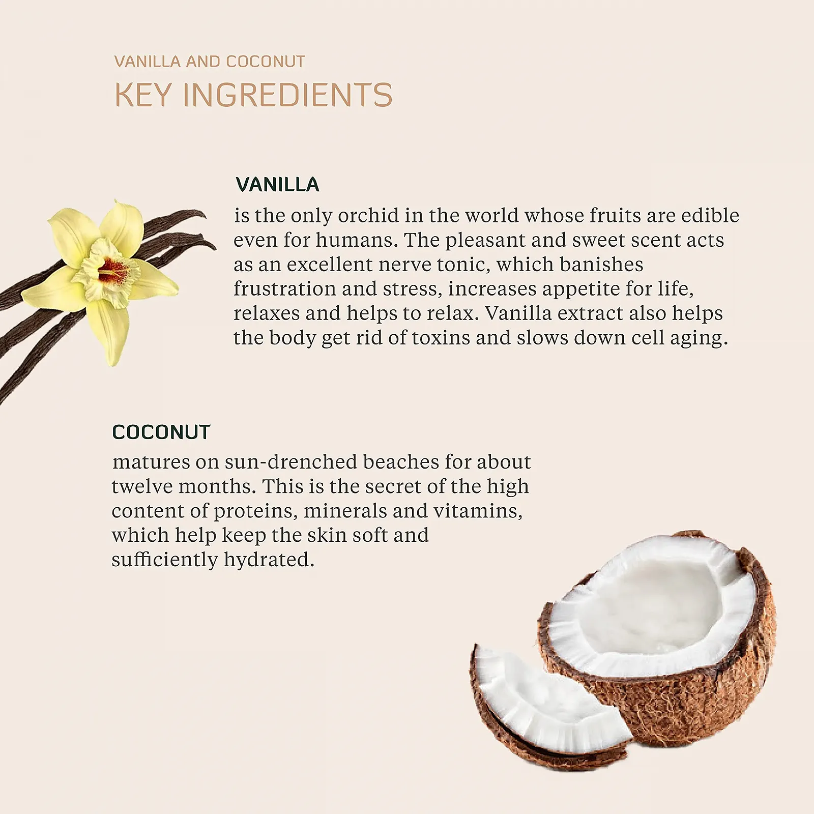 Лосьйон для тіла BODHI® Кокос та Ваніль 250 мл Зволожуючий засіб для сухої шкіри, догляд після засмаги, фото №5