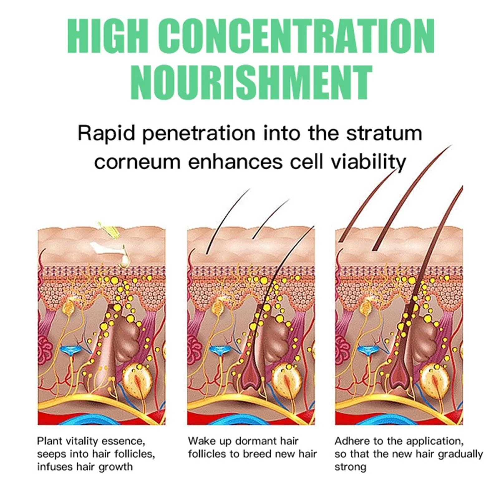 Олія для волосся Tkekruh Rosemary, 60 мл, Олія для росту волосся, фото №5 Олія для волосся Tkekruh Rosemary, 60 мл, Олія для росту волосся, фото №5