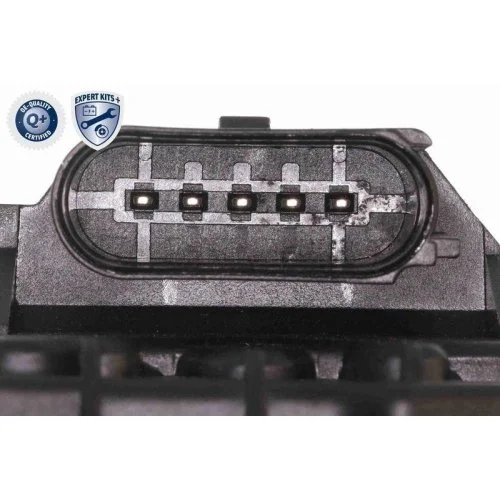 Комплект ГРМ с водяным насосом VAICO EXPERT KITS + V10-50114 для AUDI SEAT SKODA, фото №3