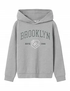 Толстовка NAME IT Nkmnewi LS Nreg Sweat Wh Bru для хлопчиків - Фото 1