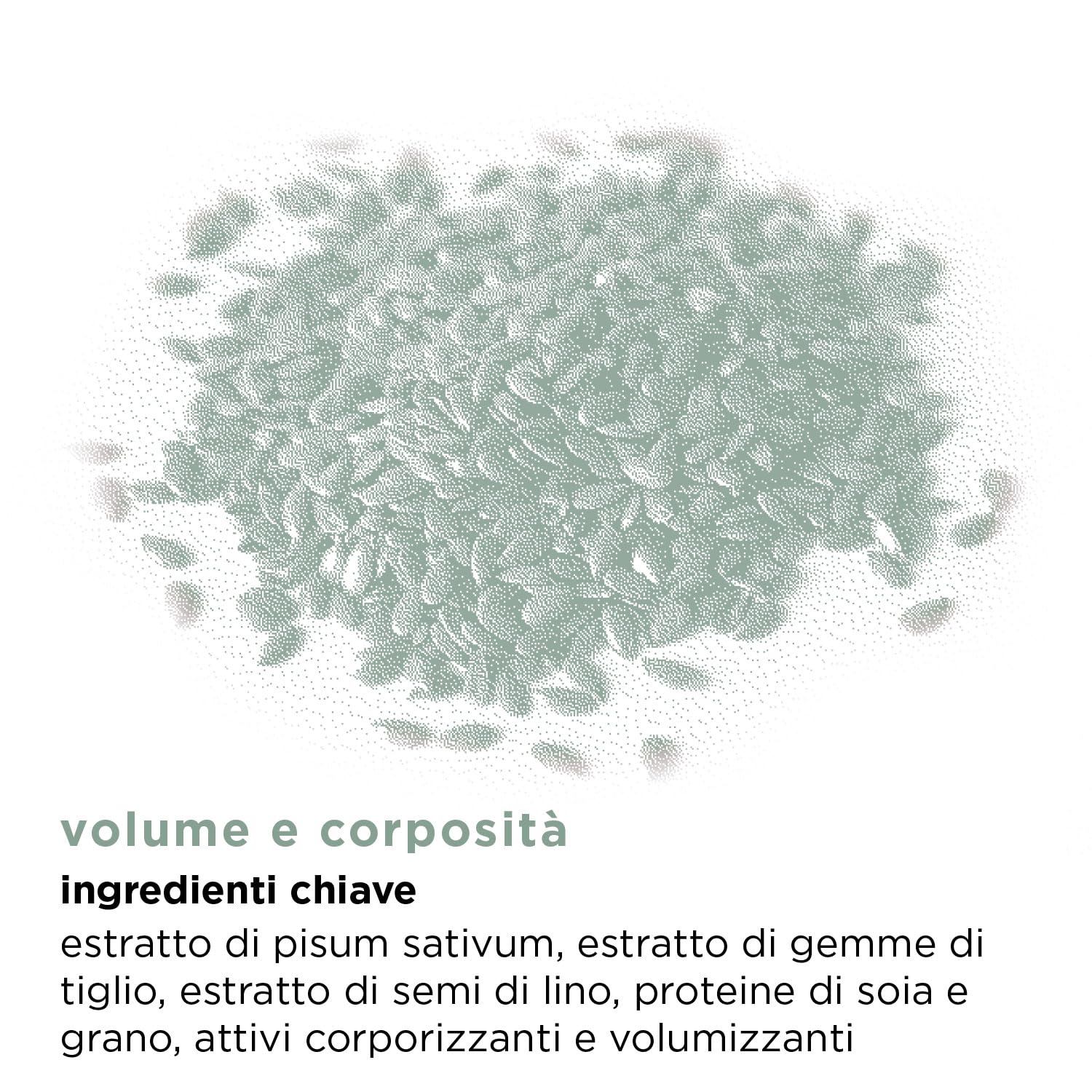 Шампунь Kemon Actyva Volume and Fullness для тонкого волосся з ефектом об'єму лляне насіння без силіконів 100 мл, фото №4 Шампунь Kemon Actyva Volume and Fullness для тонкого волосся з ефектом об'єму лляне насіння без силіконів 100 мл, фото №4