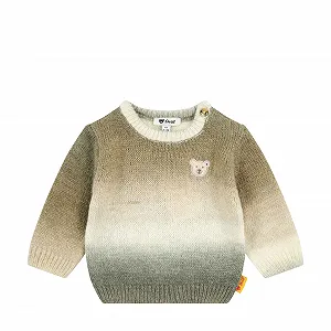 Пуловер Steiff для хлопчиків (1 шт) - Фото 1