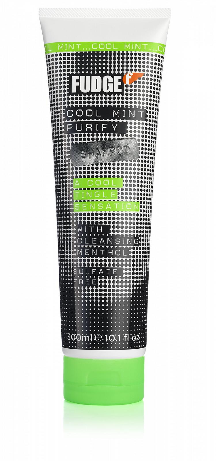 Шампунь Fudge Purify Cool Mint 300 мл, фото №1