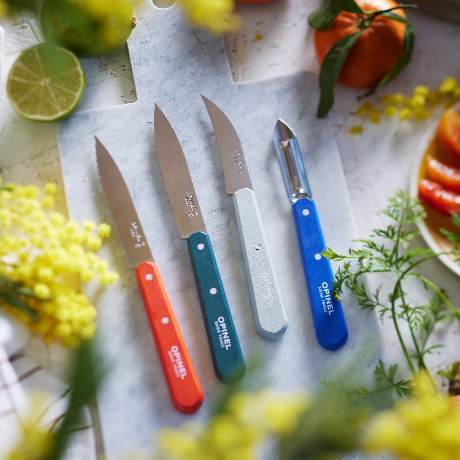 Набір кухонних ножів Opinel Essentiels DU CUISINIER 254643, 4 предмети, нержавіюча сталь, фото №3