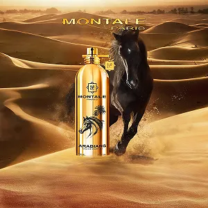 Montale Arabians EPD 100 мл synthetic.ua - Фото 1