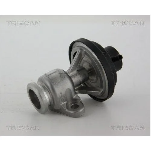 Клапан EGR TRISCAN 8813 29034 SEAT SKODA VW, фото №2