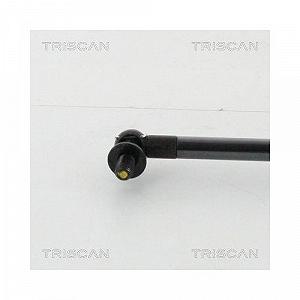 Газлифт багажника TRISCAN 8710 13291 для TOYOTA, правый synthetic.ua - Фото 1