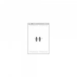 Комплект болтов тормозного диска TRISCAN 8105 116018 - Фото 1